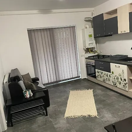 Vivamusapartmentsbv Apartment Brasov